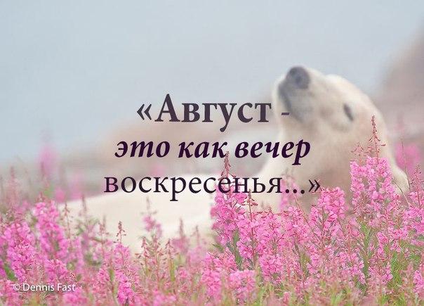 Интернет Магазин nadopinge.com - Бодибилдинг форум AnabolicShops