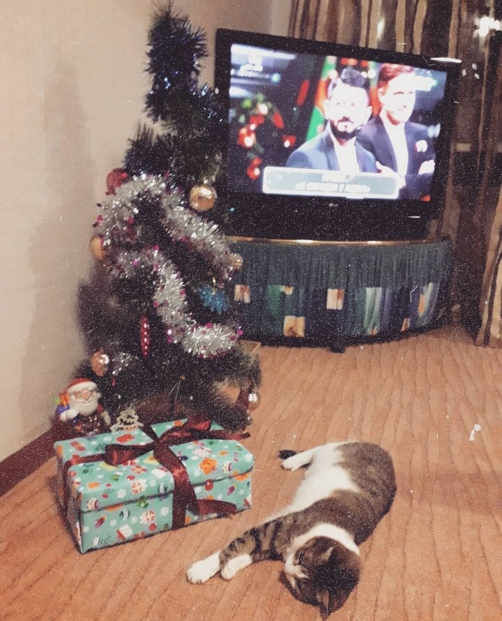 Johnny-Shop.info - Бодибилдинг форум AnabolicShops