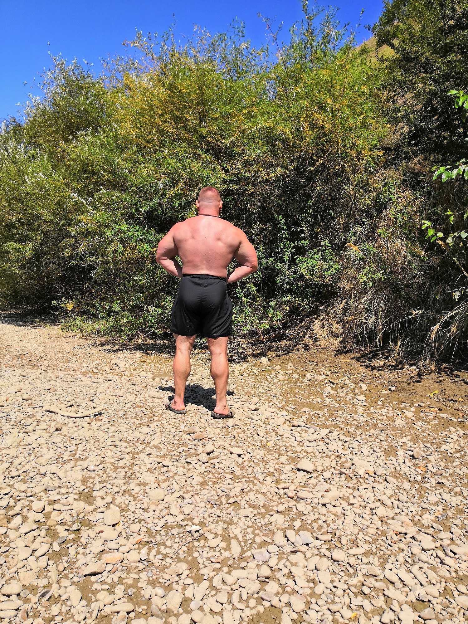 Футболка для интернет качка или "Who is who?" - Бодибилдинг форум AnabolicShops