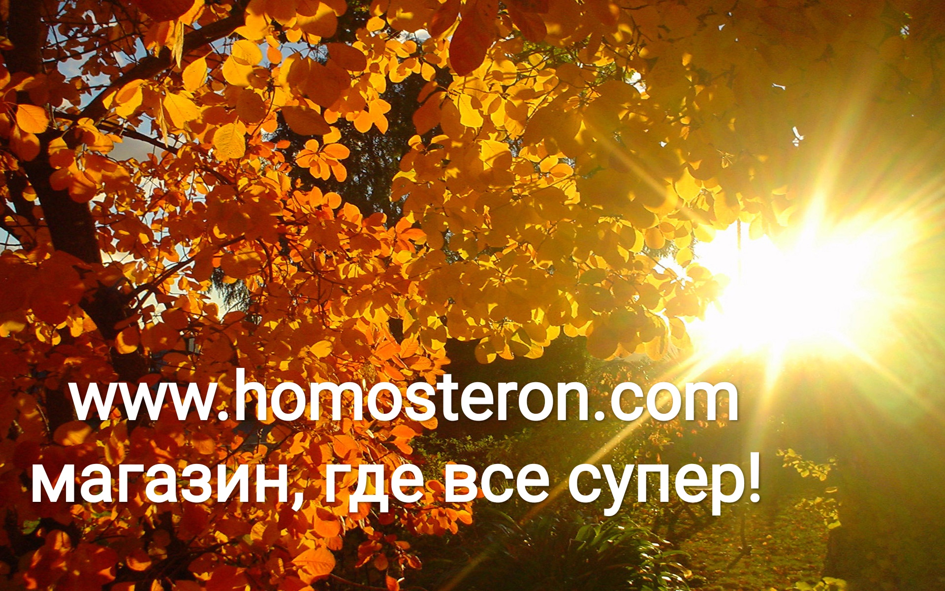 Homosteron.com оф.дилер Zphc|CanadaPeptides|Ergo Mrc - Бодибилдинг форум AnabolicShops