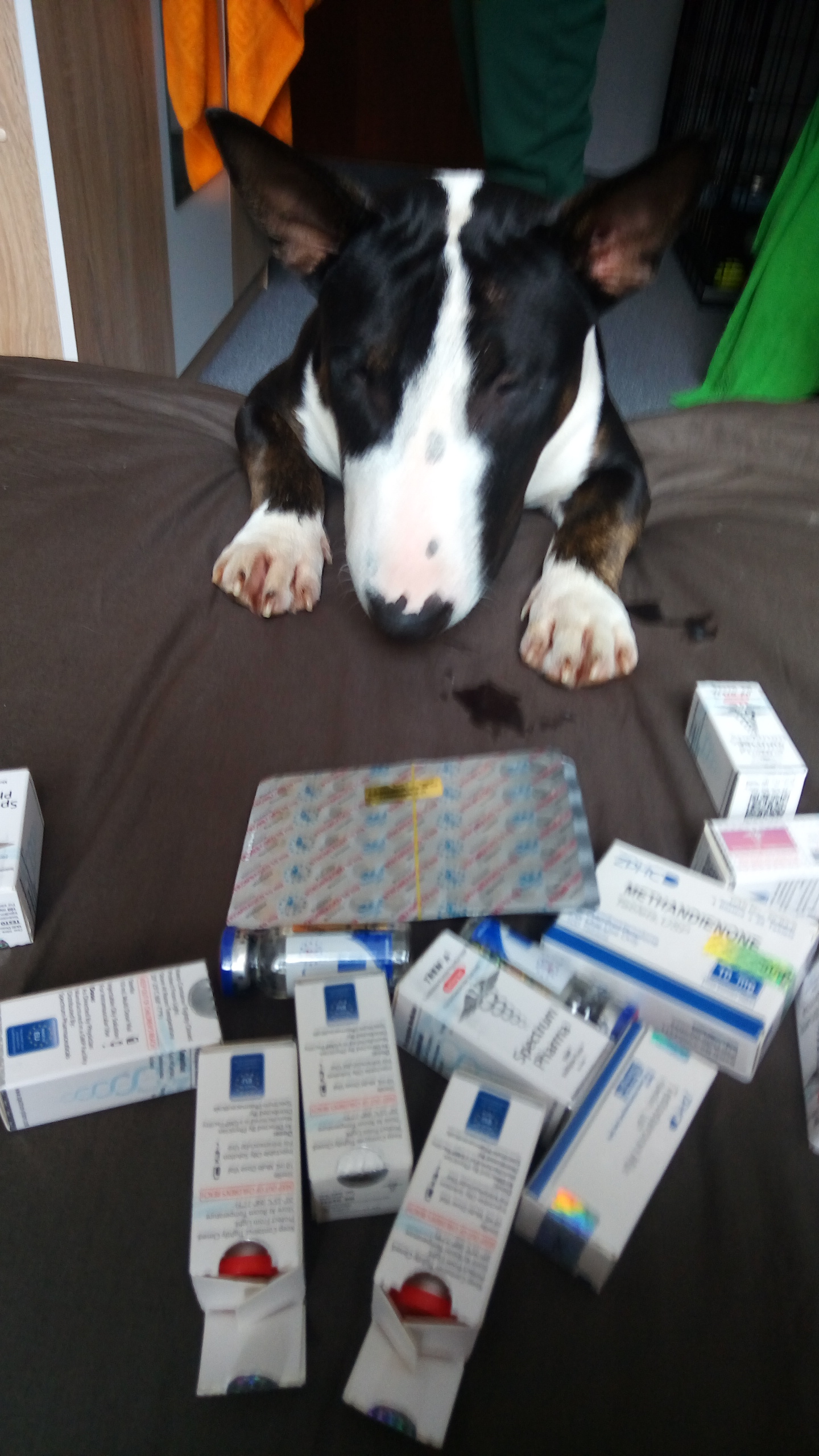 Homosteron.com оф.дилер Zphc|CanadaPeptides|Ergo Mrc - Бодибилдинг форум AnabolicShops