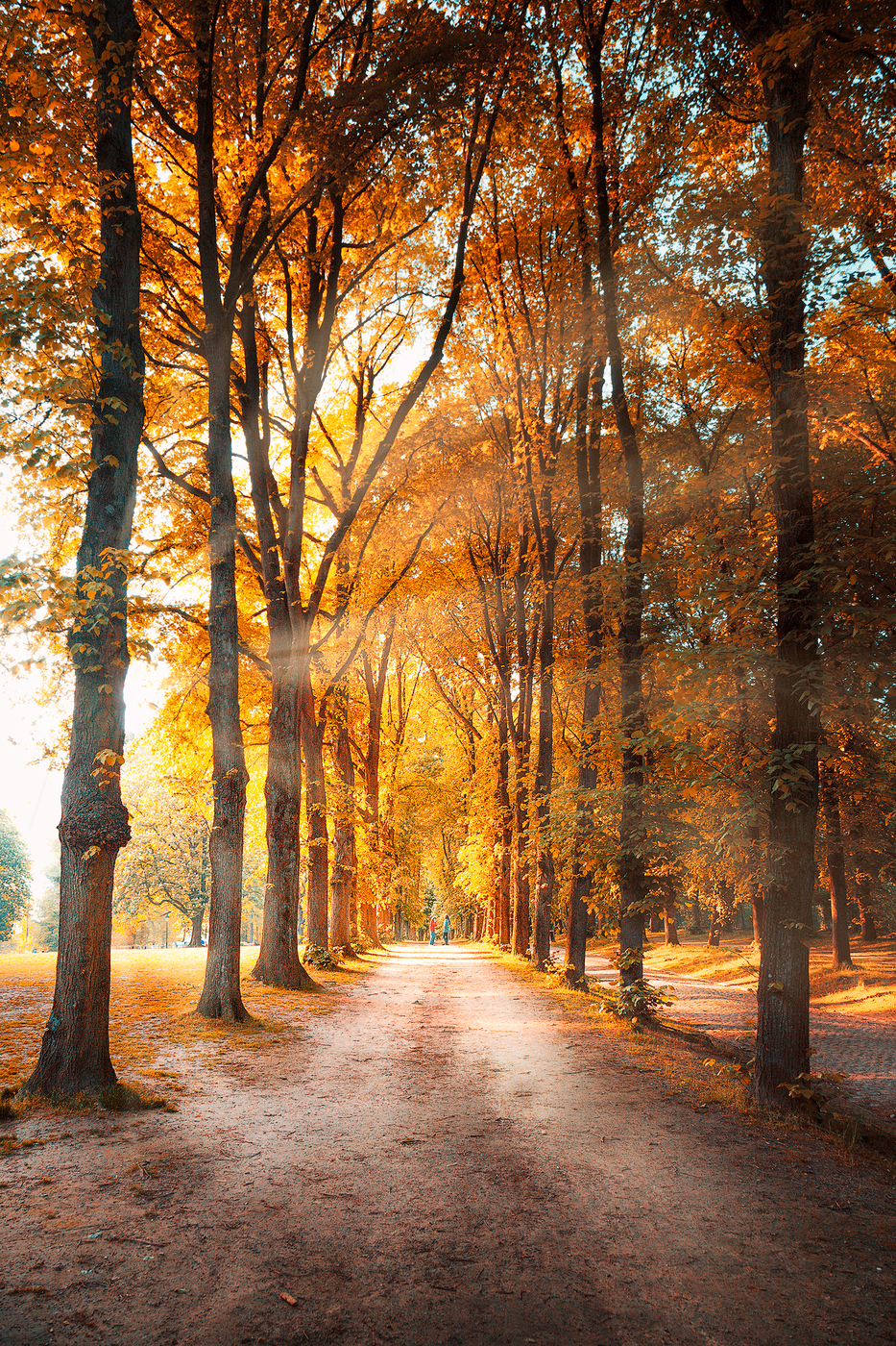 Интернет Магазин nadopinge.com - Бодибилдинг форум AnabolicShops