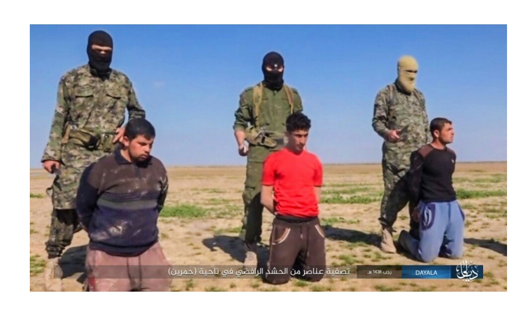 SYZEN.BIZ - Низкая цена/высокое качество. - Бодибилдинг форум AnabolicShops