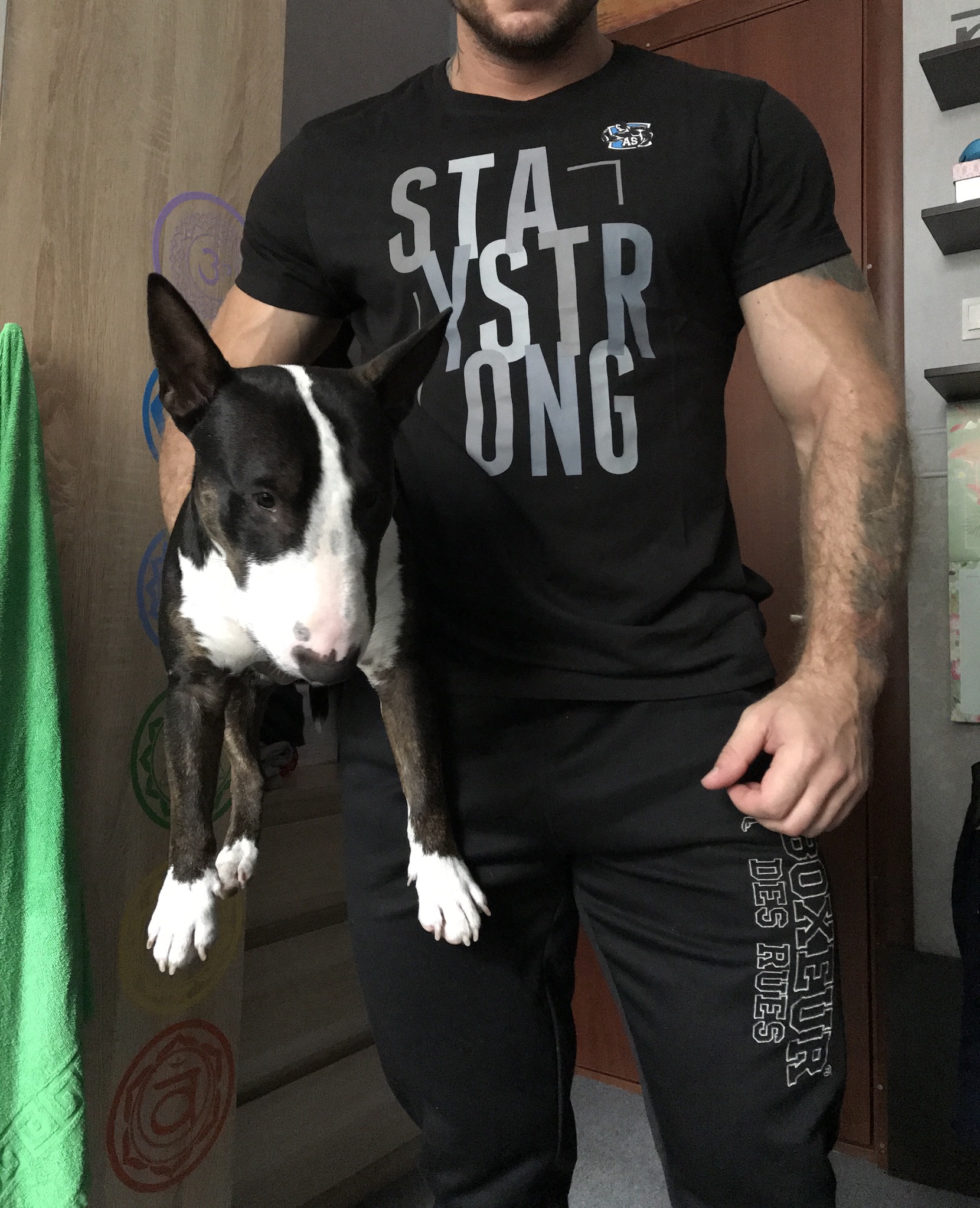 В футболке, + 100 к силе. (отчеты по конкурсу) - Бодибилдинг форум AnabolicShops