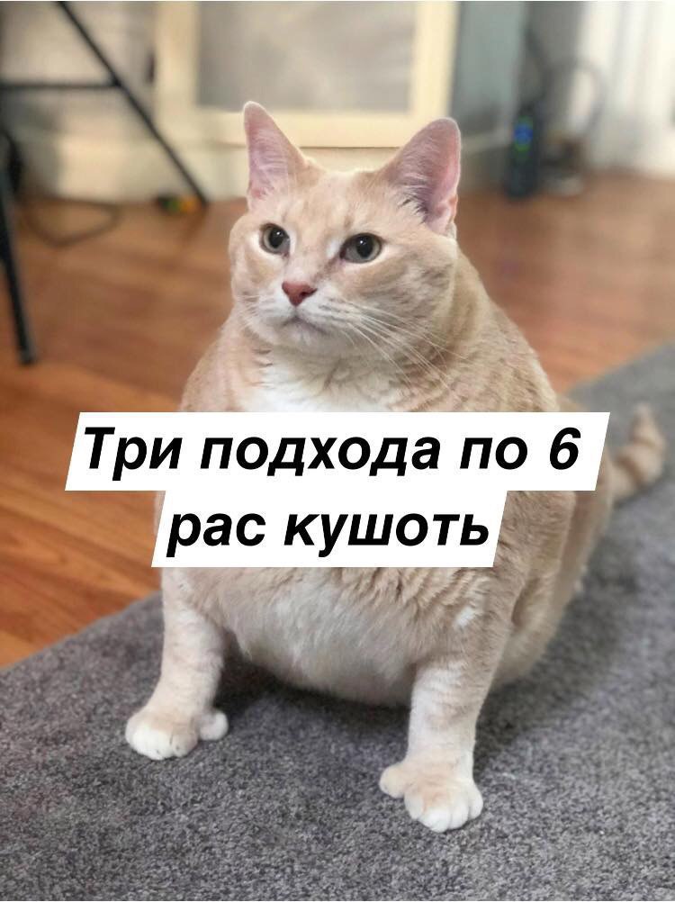 Не заказывать!!! Chemax Pharma! - Бодибилдинг форум AnabolicShops