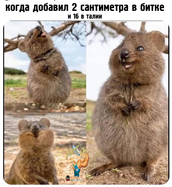 Курилка- разговоры на любые темы - Бодибилдинг форум AnabolicShops