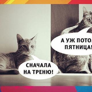 Интернет Магазин nadopinge.com - Бодибилдинг форум AnabolicShops