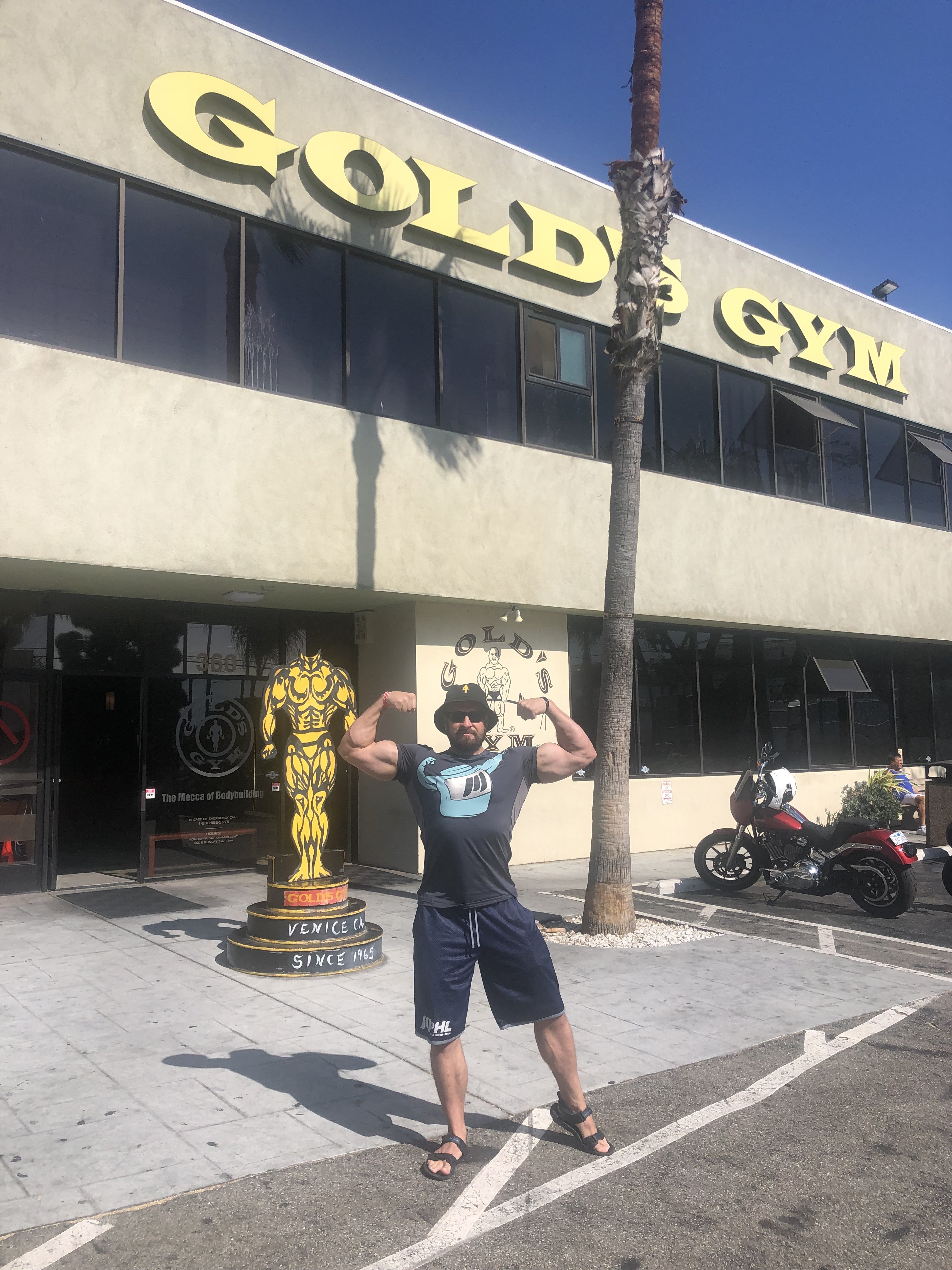 О тренировках в Gold’s Gym - Бодибилдинг форум AnabolicShops