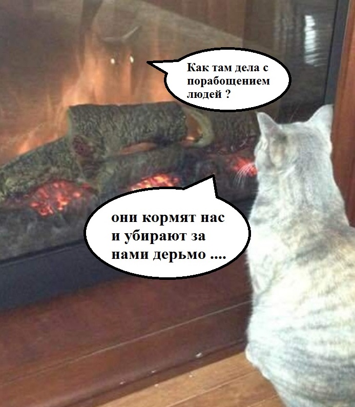 Курилка- разговоры на любые темы - Бодибилдинг форум AnabolicShops