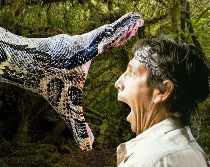 ПОМОЩЬ НАСТЕ! - Бодибилдинг форум AnabolicShops