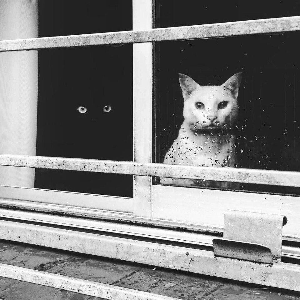 Курилка- разговоры на любые темы - Бодибилдинг форум AnabolicShops