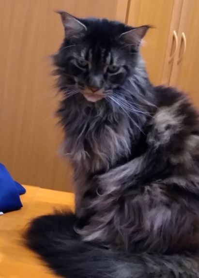 Не заказывать!!! Chemax Pharma! - Бодибилдинг форум AnabolicShops