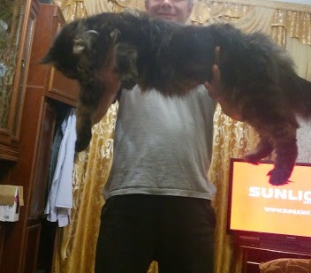 Не заказывать!!! Chemax Pharma! - Бодибилдинг форум AnabolicShops