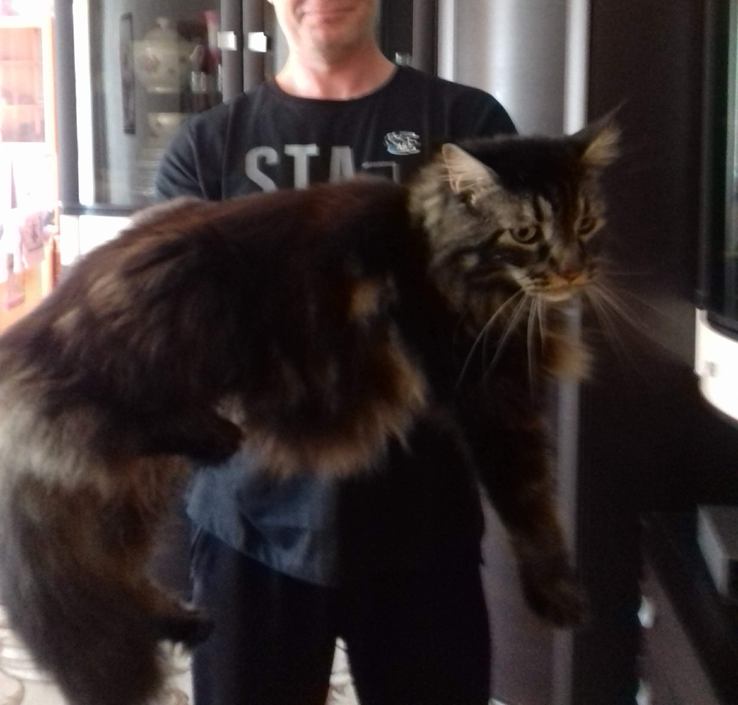 Не заказывать!!! Chemax Pharma! - Бодибилдинг форум AnabolicShops