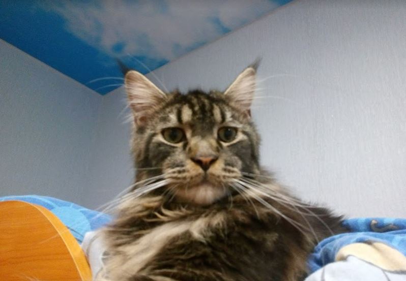 Не заказывать!!! Chemax Pharma! - Бодибилдинг форум AnabolicShops