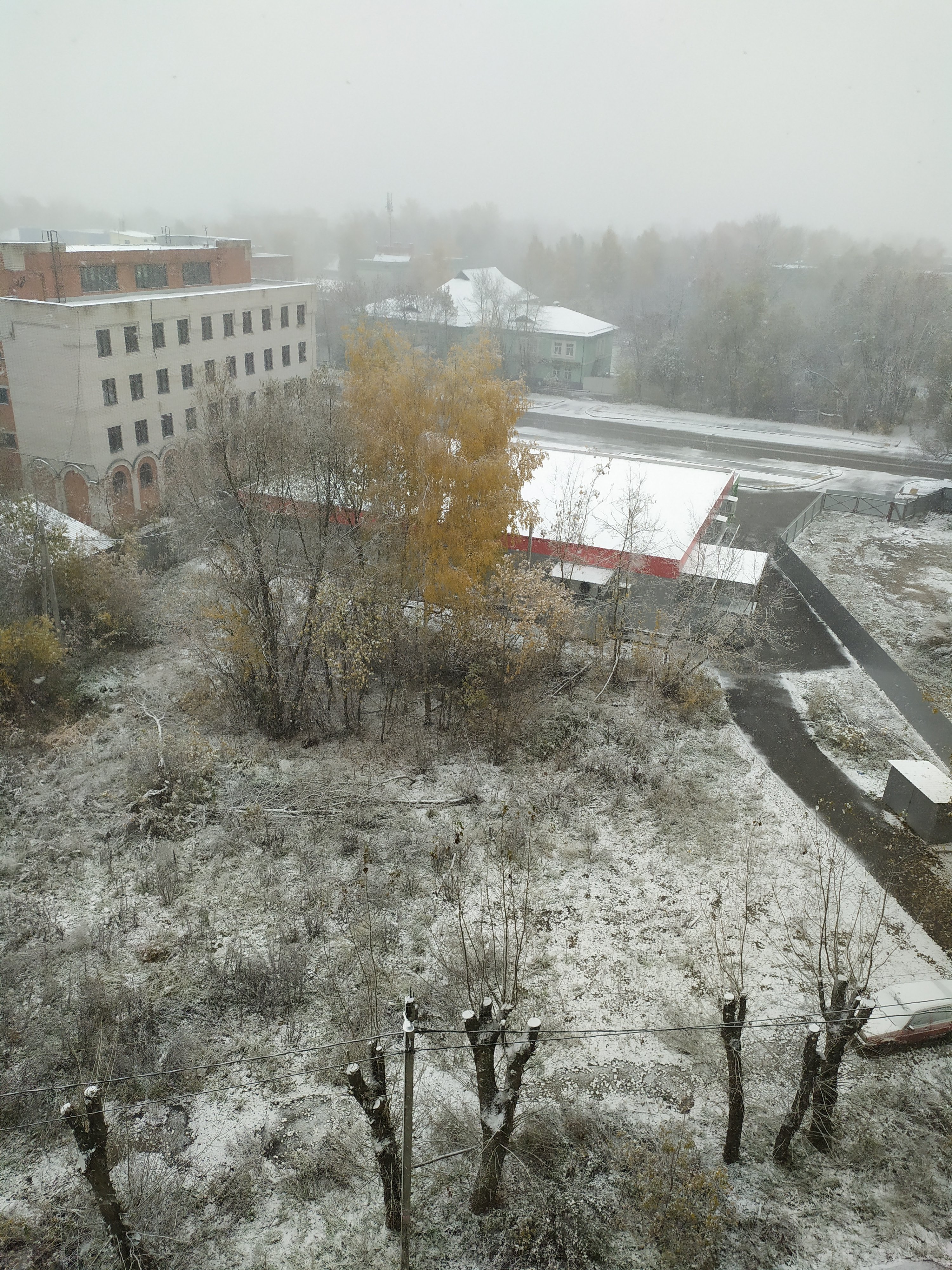 SYZEN.BIZ - Низкая цена/высокое качество. - Бодибилдинг форум AnabolicShops