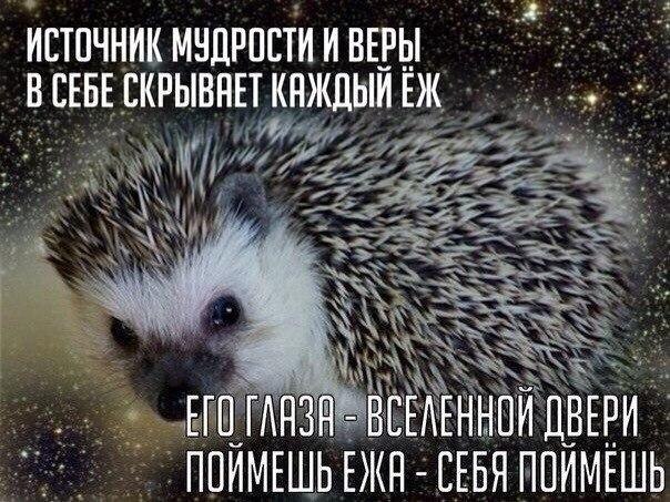 Курилка- разговоры на любые темы - Бодибилдинг форум AnabolicShops