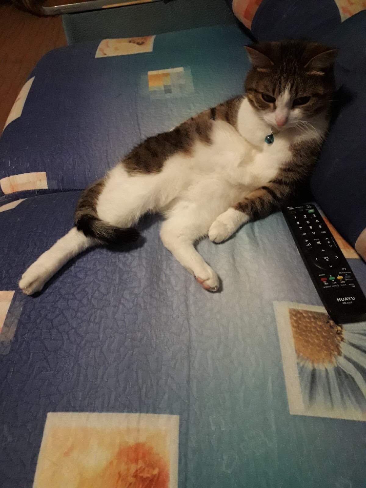 Не заказывать!!! Chemax Pharma! - Бодибилдинг форум AnabolicShops