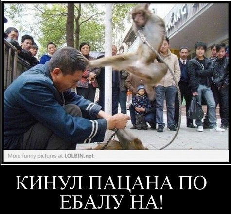 Обман клиента https://www.danabol.online/ - Бодибилдинг форум AnabolicShops