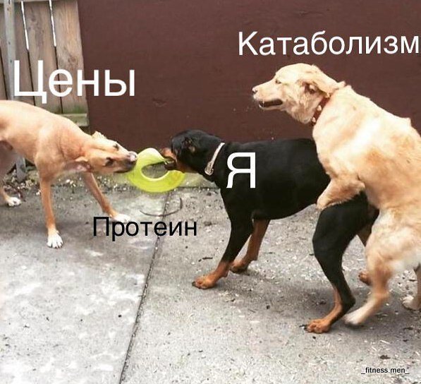 Курилка- разговоры на любые темы - Бодибилдинг форум AnabolicShops