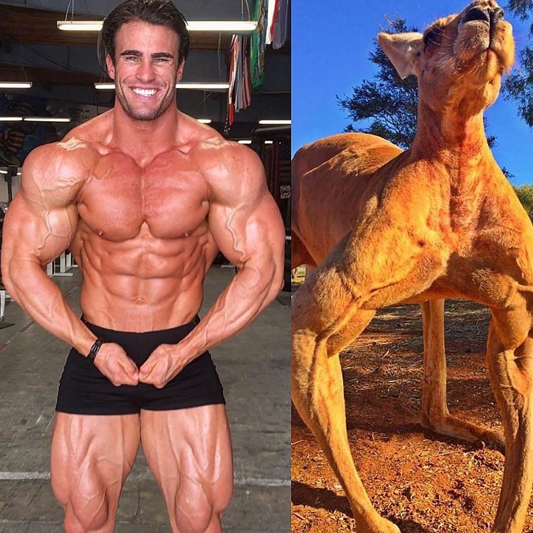 Будет Pro-карта - выиграю Мистер Олимпия 2020. Калум фон Могер - Бодибилдинг форум AnabolicShops