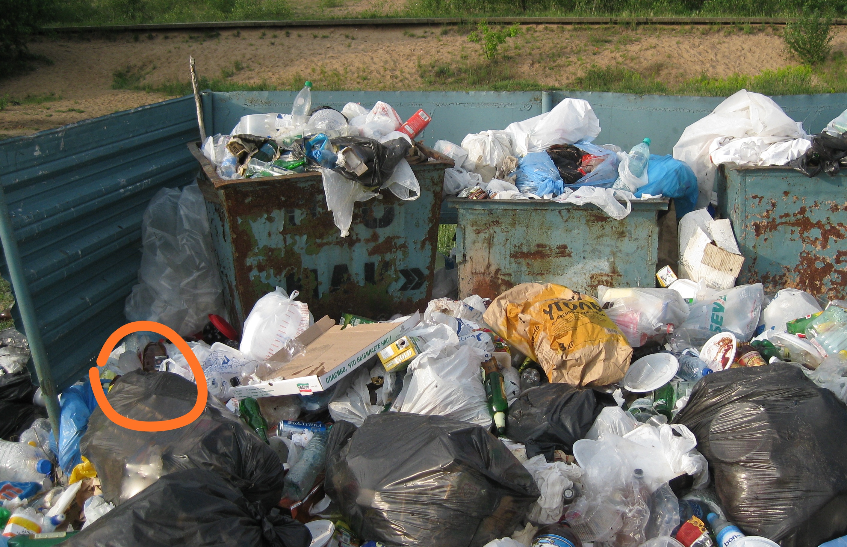 SYZEN.BIZ - Низкая цена/высокое качество. - Бодибилдинг форум AnabolicShops