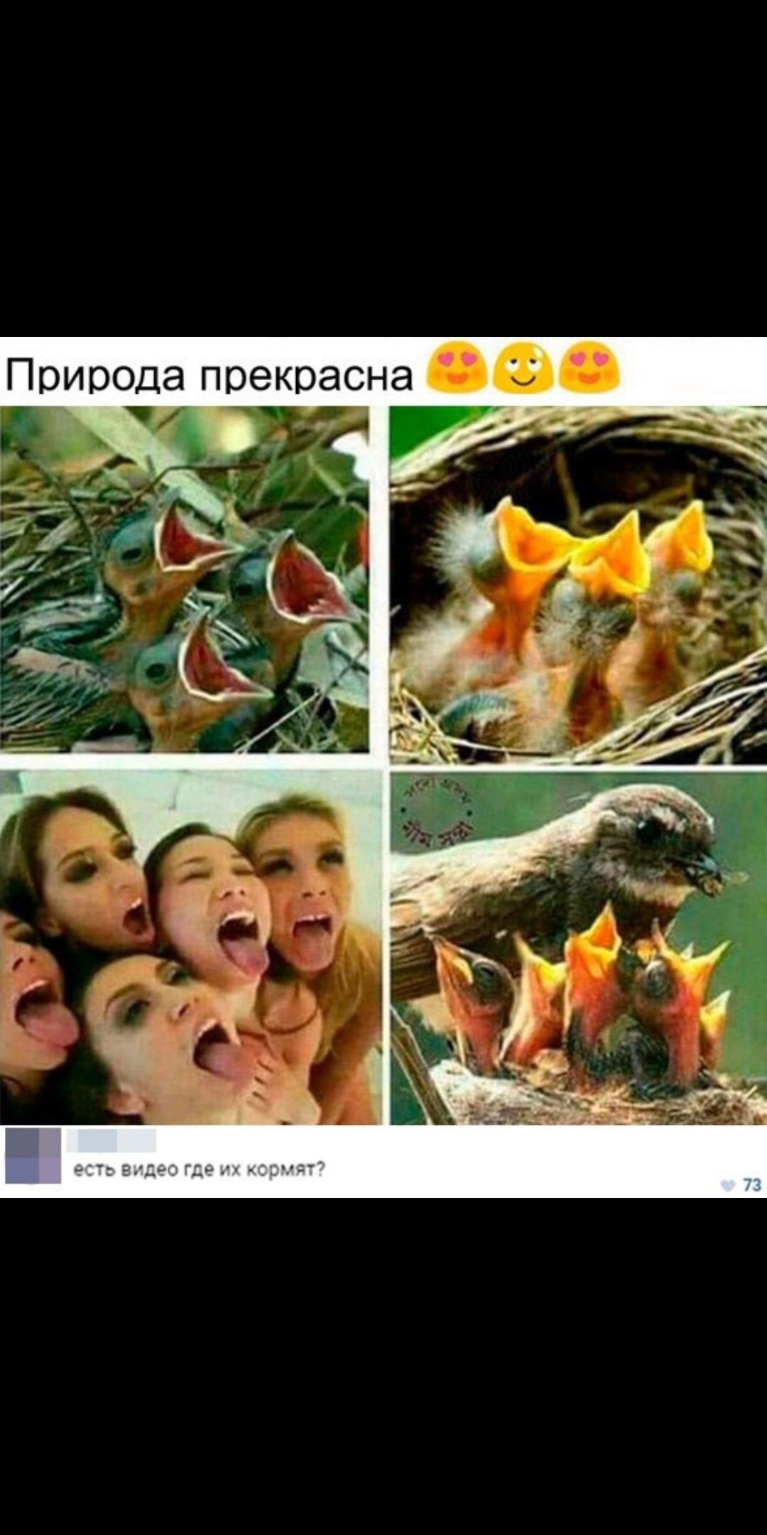 Анекдоты обо всем - Бодибилдинг форум AnabolicShops