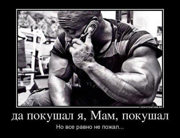DevilsPharm.in.th - Бодибилдинг форум AnabolicShops