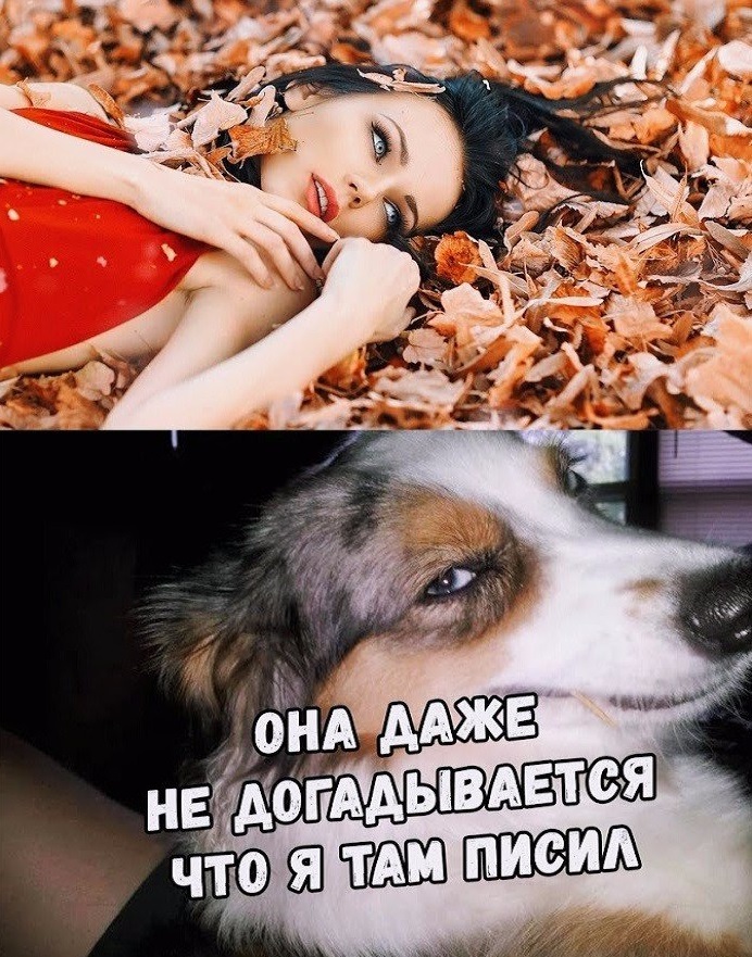 Курилка- разговоры на любые темы - Бодибилдинг форум AnabolicShops