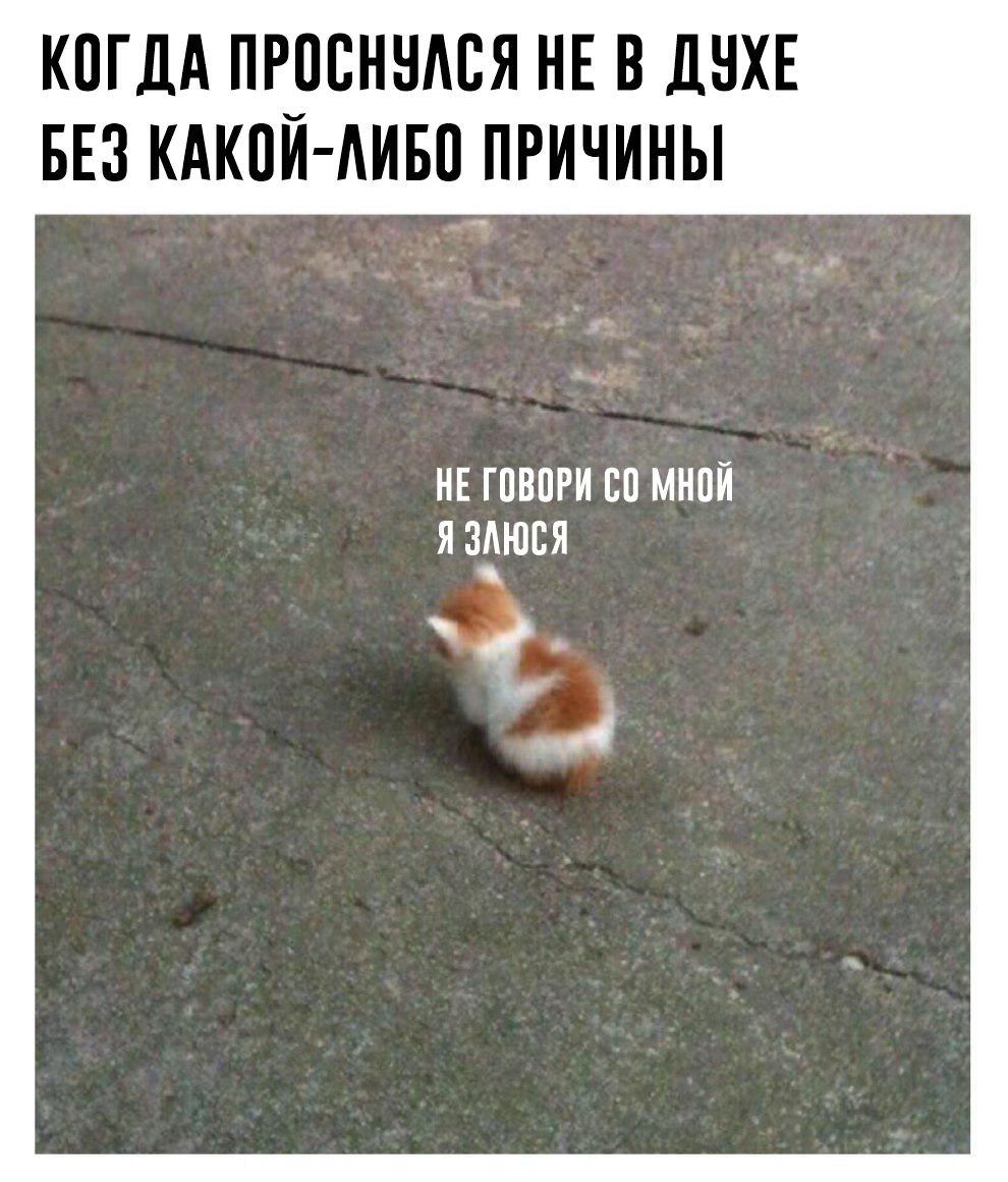 Курилка- разговоры на любые темы - Бодибилдинг форум AnabolicShops