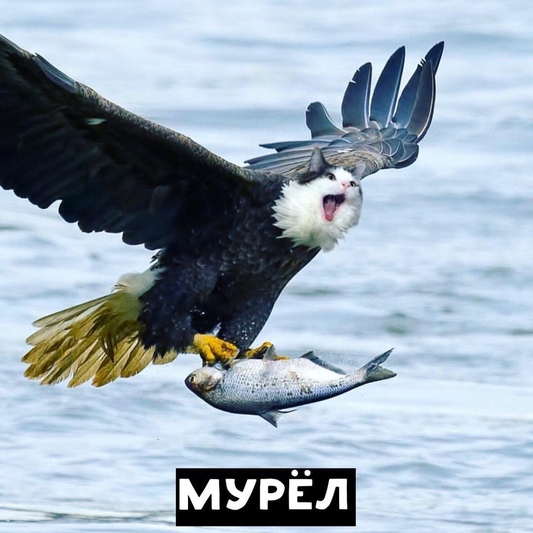 Курилка- разговоры на любые темы - Бодибилдинг форум AnabolicShops