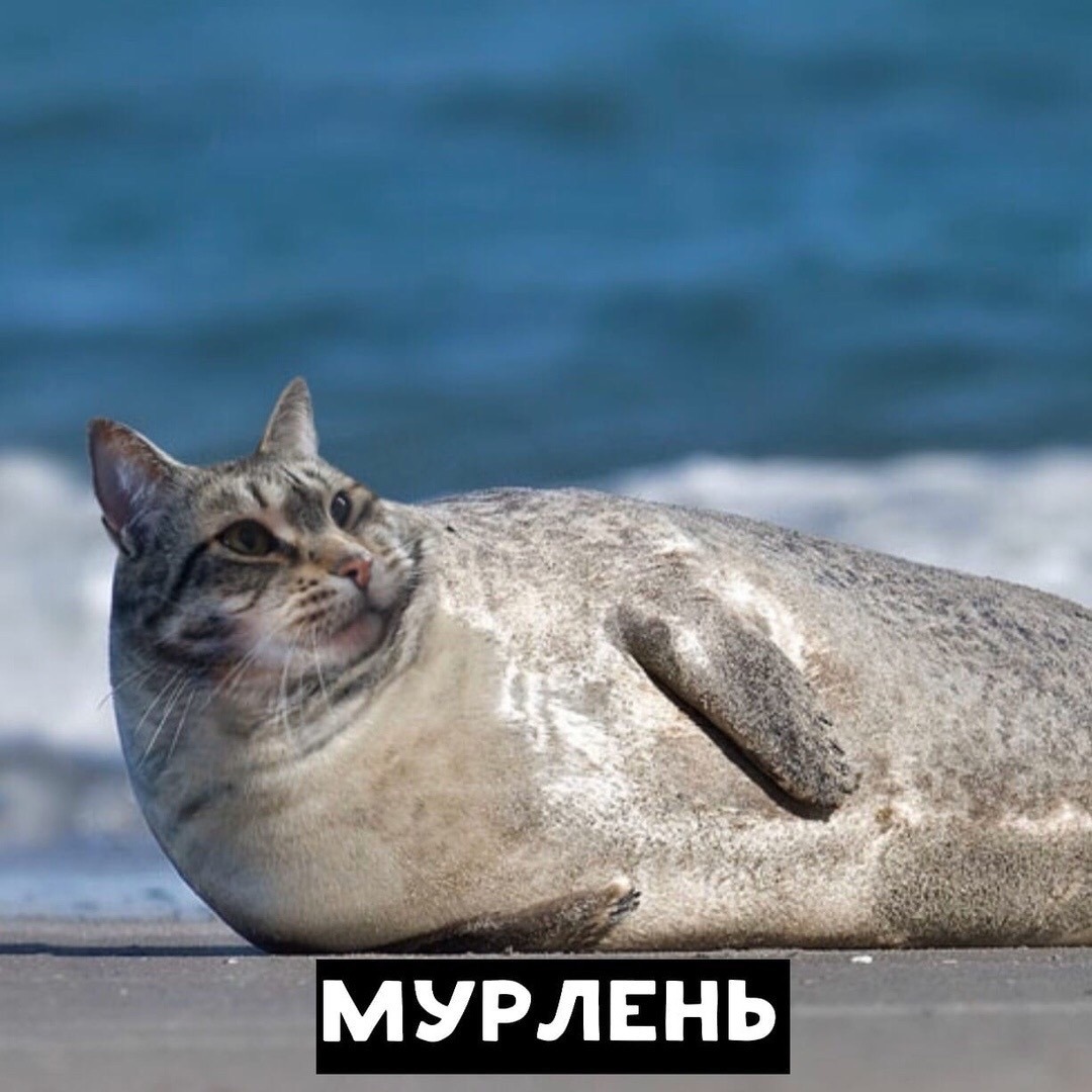 Курилка- разговоры на любые темы - Бодибилдинг форум AnabolicShops