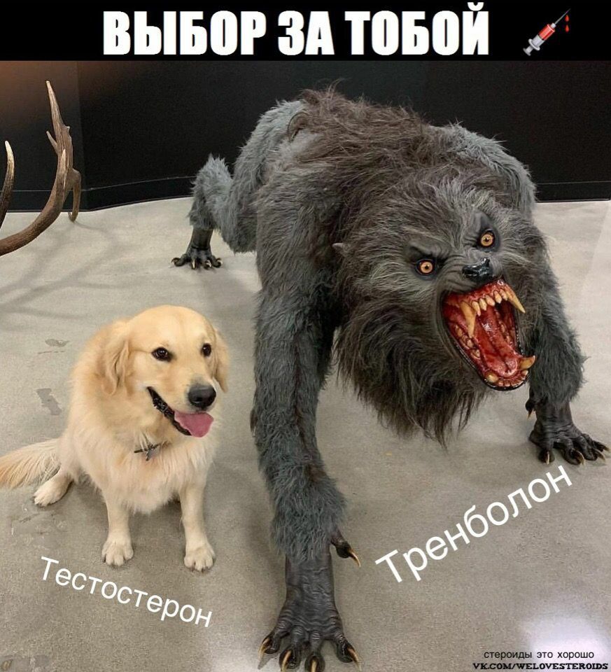 Mita-pharma. - Бодибилдинг форум AnabolicShops