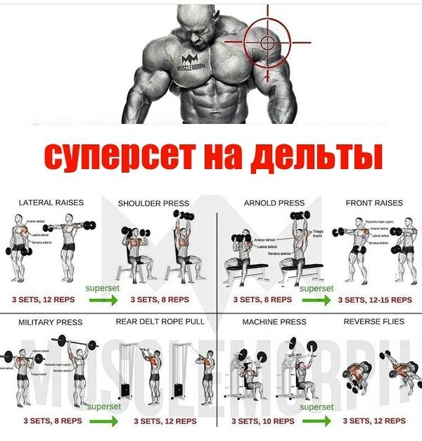 Курилка- разговоры на любые темы - Бодибилдинг форум AnabolicShops