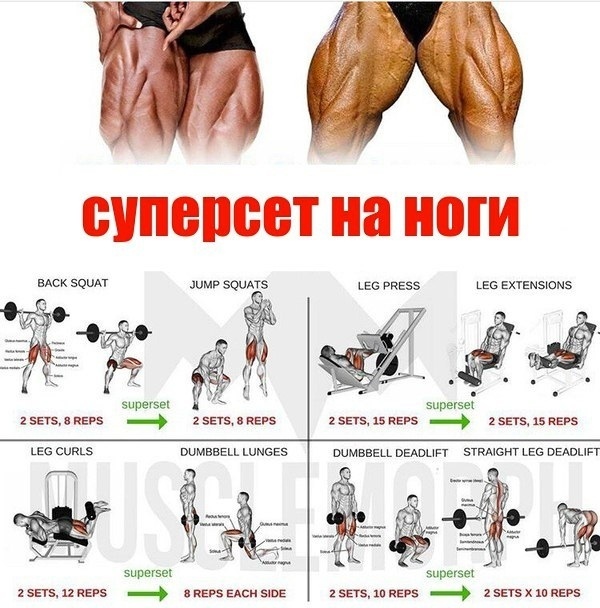 Курилка- разговоры на любые темы - Бодибилдинг форум AnabolicShops