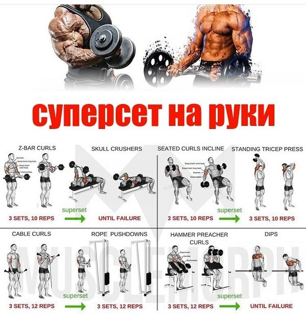 Курилка- разговоры на любые темы - Бодибилдинг форум AnabolicShops