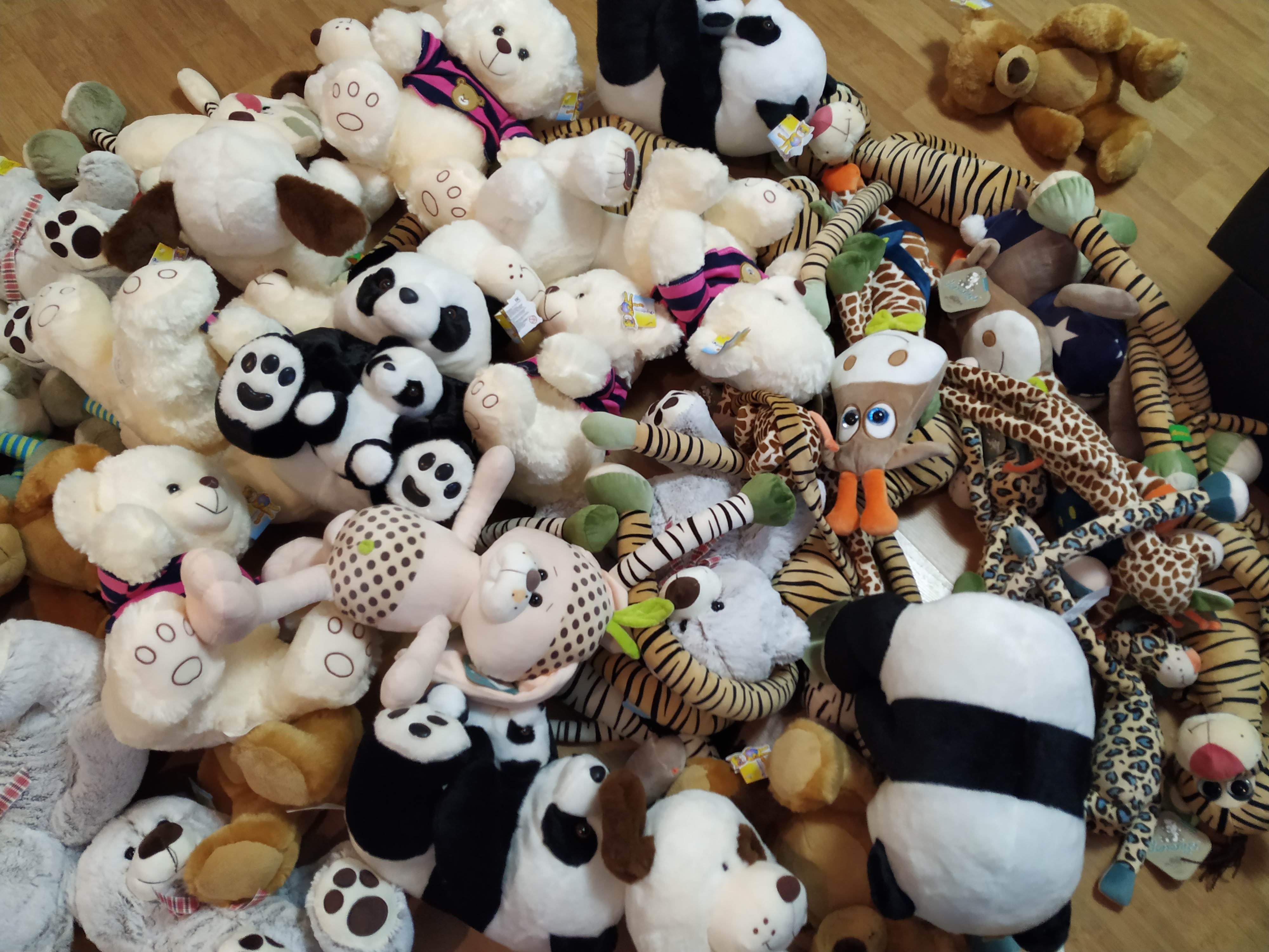 Новогодний праздник в хосписе-сбор открыт! - Бодибилдинг форум AnabolicShops