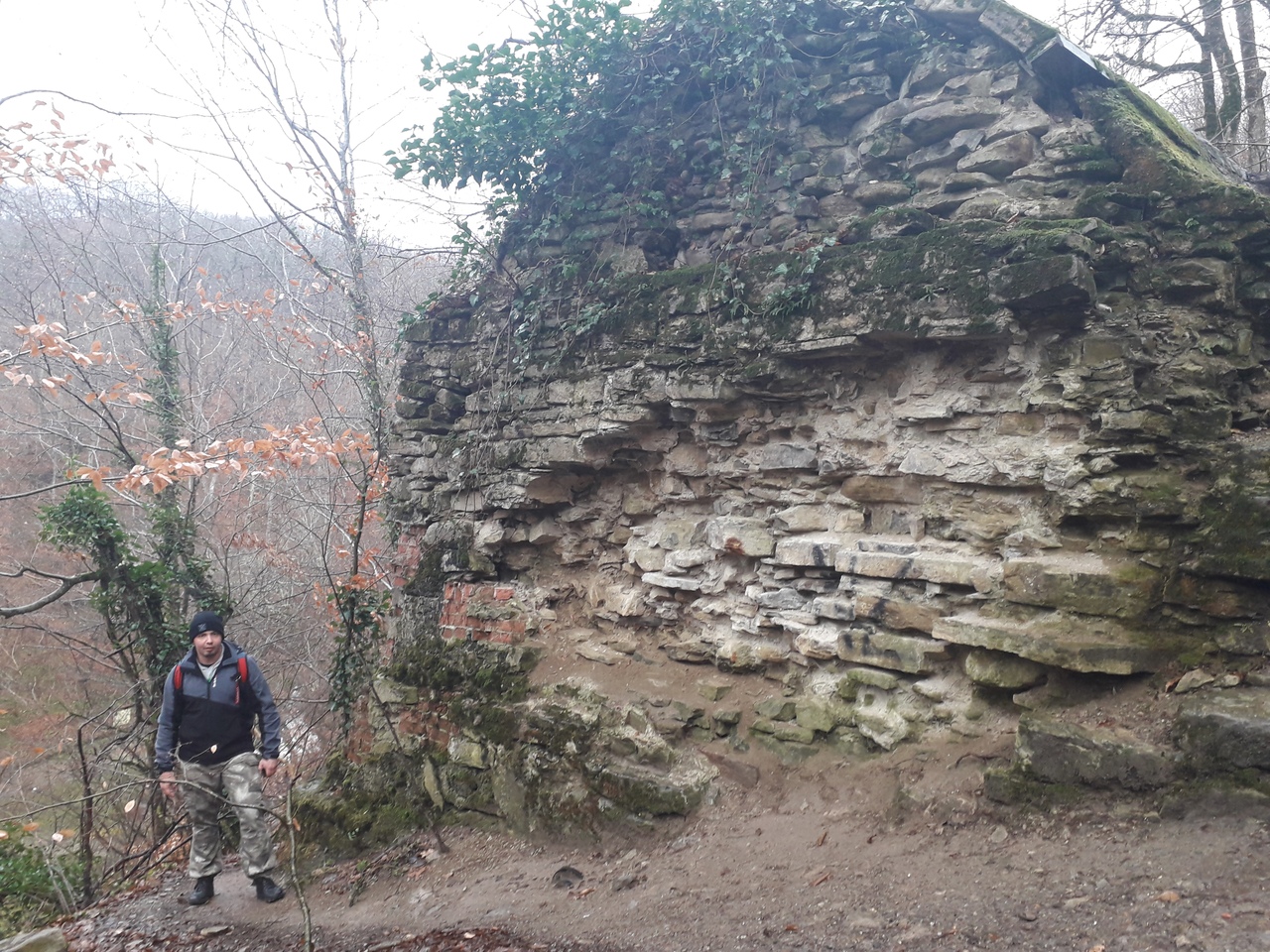 ПЖБ или путь жимовой бестолочи. - Бодибилдинг форум AnabolicShops