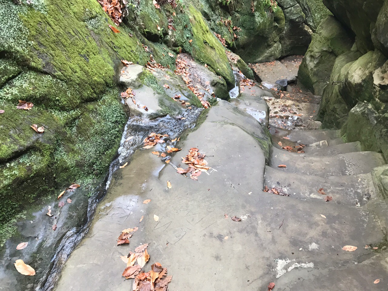 ПЖБ или путь жимовой бестолочи. - Бодибилдинг форум AnabolicShops