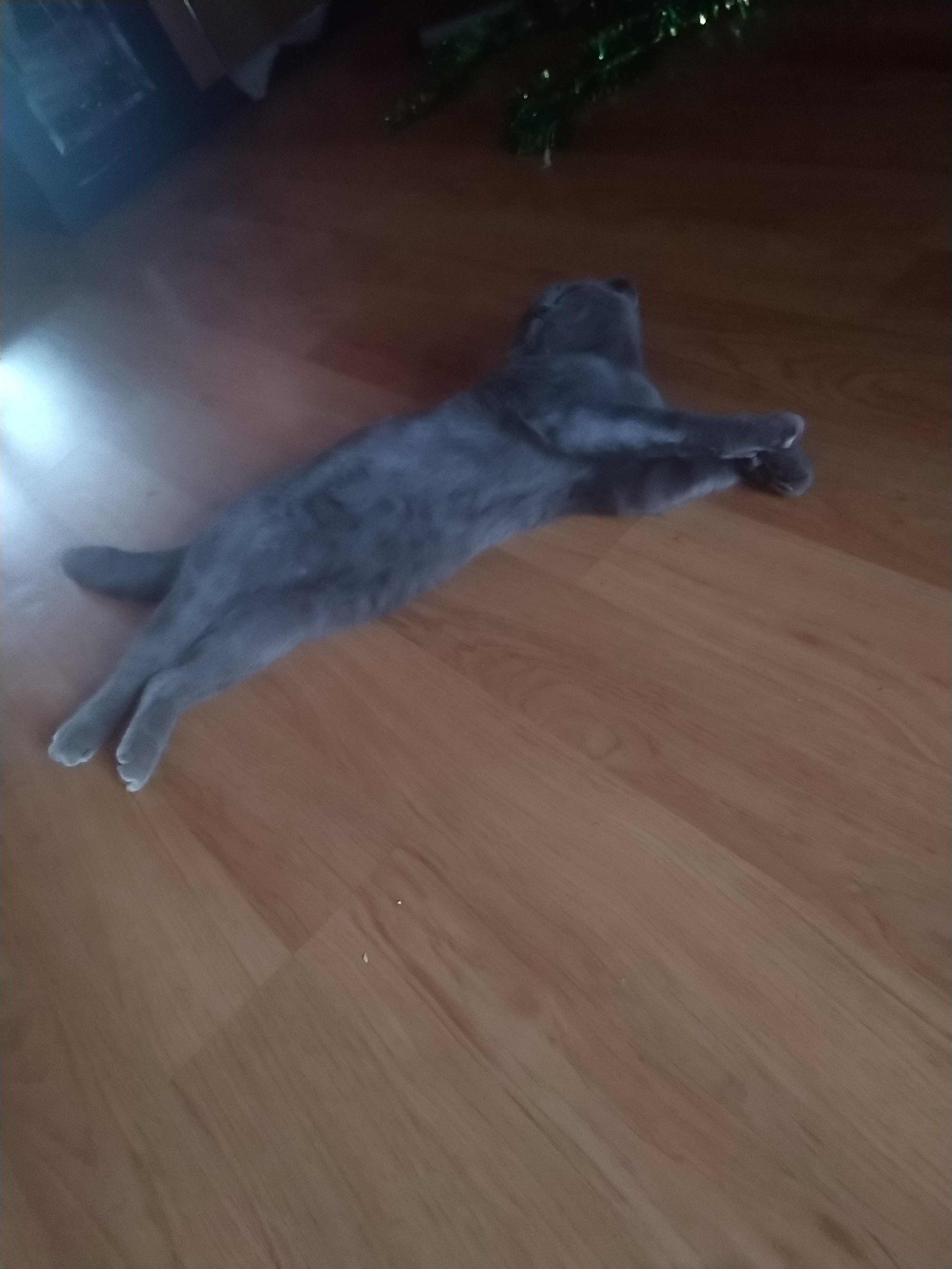 Johnny-Shop.info - Бодибилдинг форум AnabolicShops