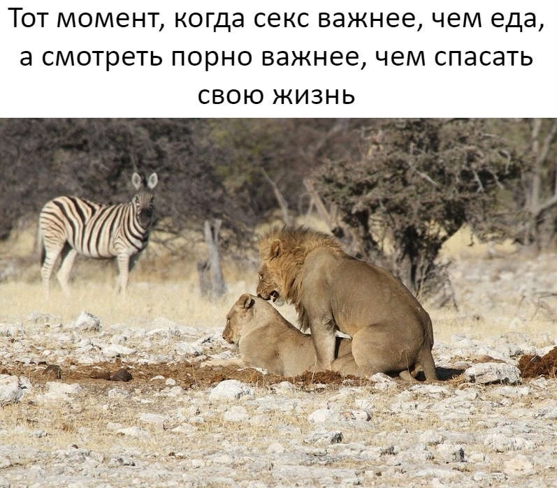 Mita-pharma. - Бодибилдинг форум AnabolicShops