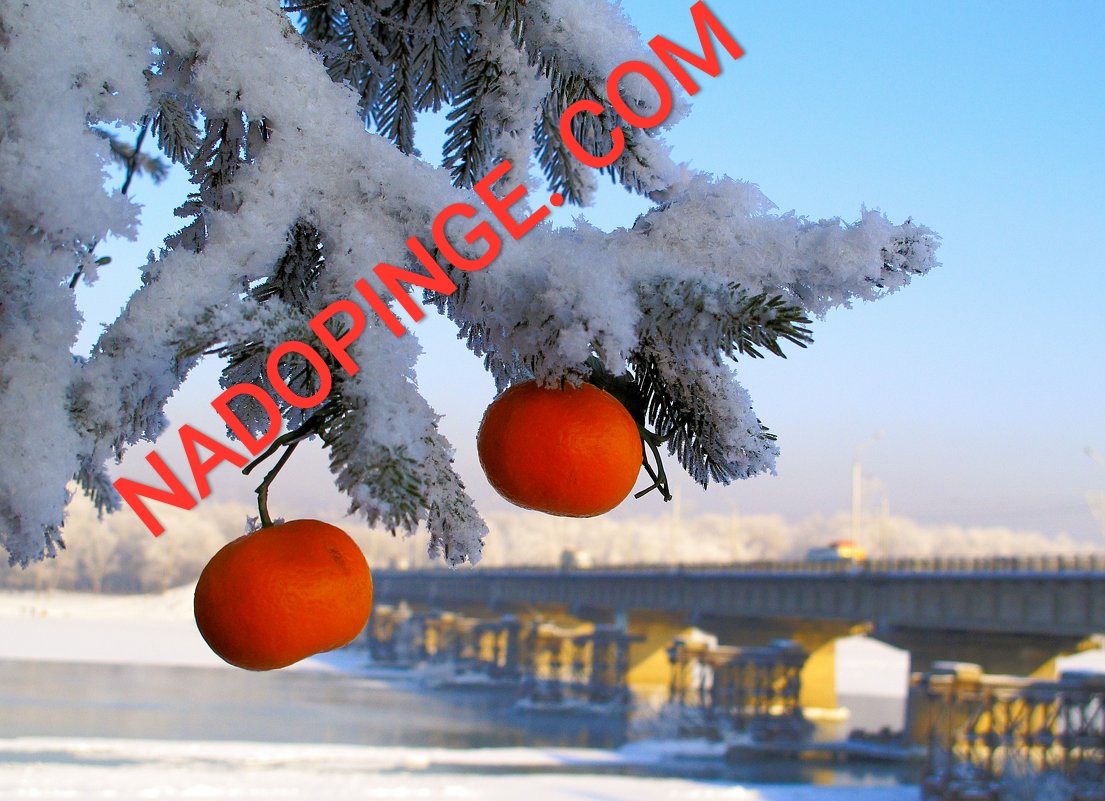 Интернет Магазин nadopinge.com - Бодибилдинг форум AnabolicShops