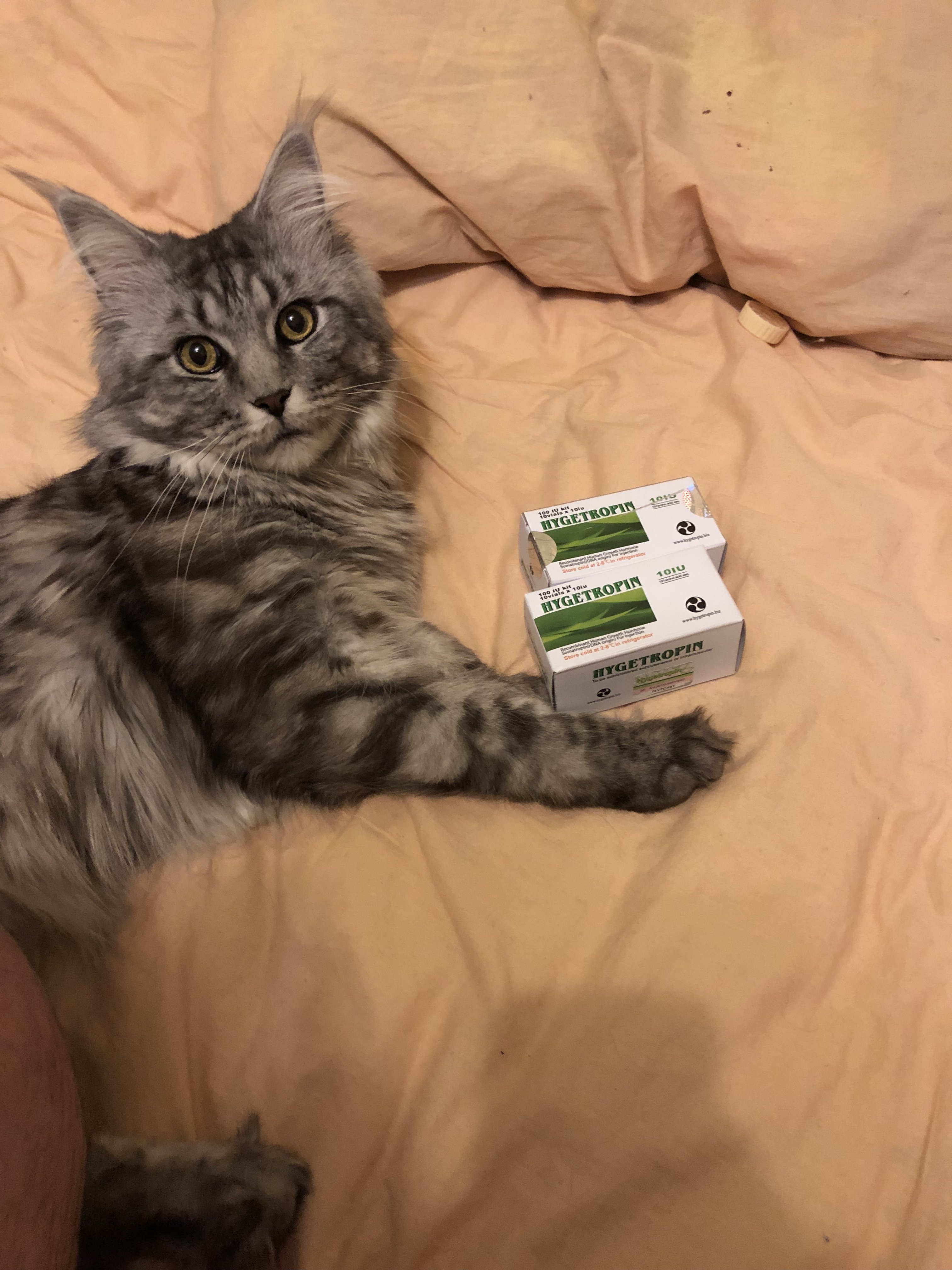 Johnny-Shop.info - Бодибилдинг форум AnabolicShops