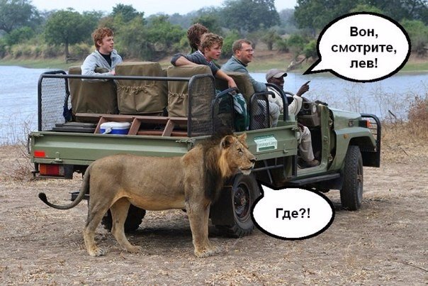 Phoenix medical. Завоз фармы,мега скидки! - Бодибилдинг форум AnabolicShops