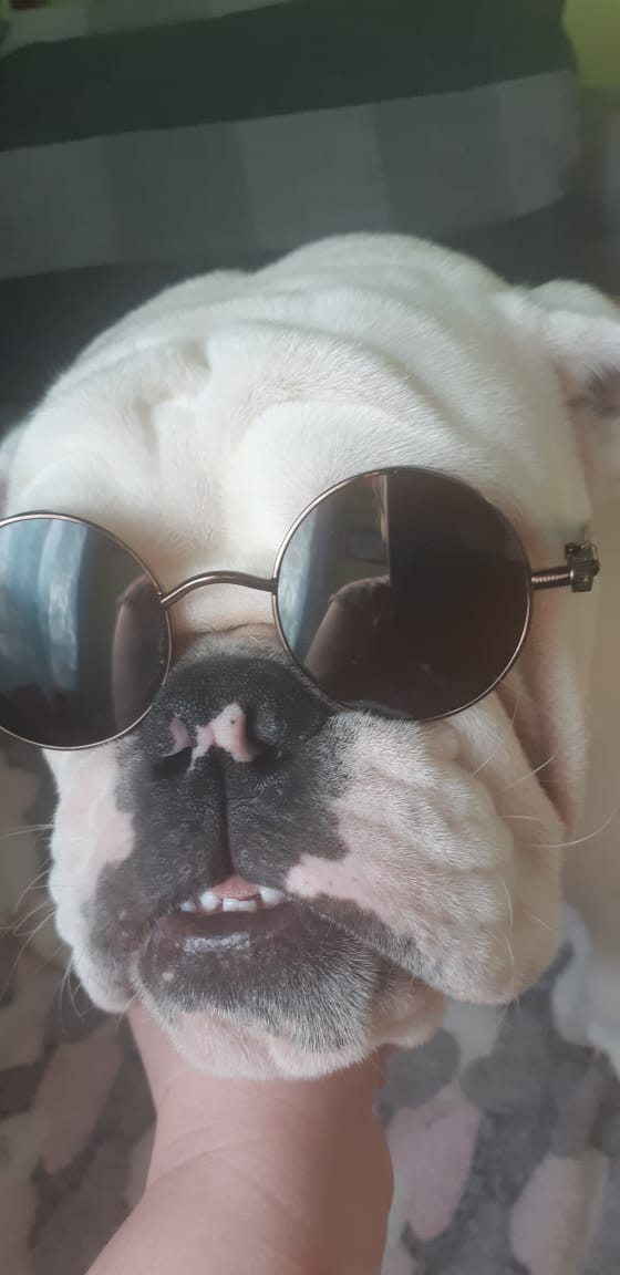 Анекдоты обо всем - Бодибилдинг форум AnabolicShops