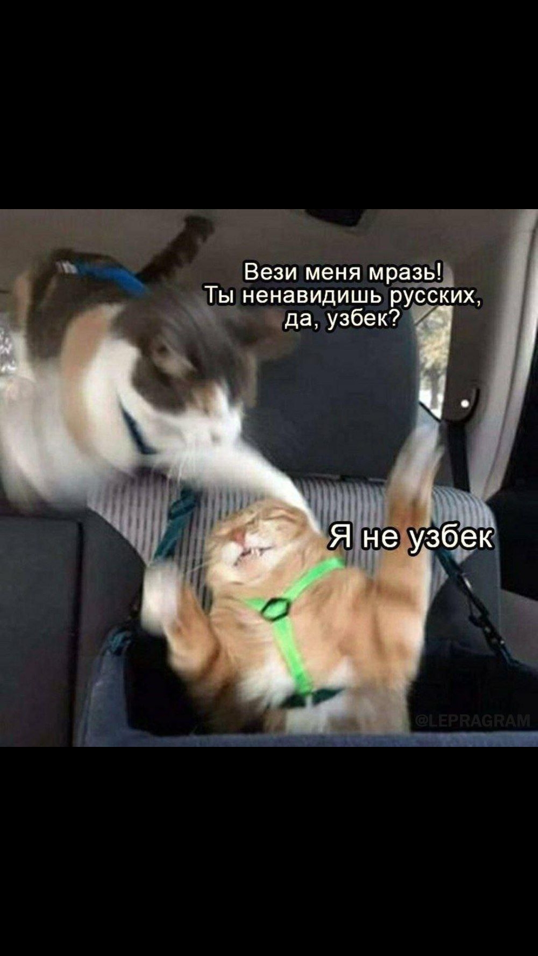 ✌ Курилка ⓂⒸⓀпоболтать обо всем  ☕ - Бодибилдинг форум AnabolicShops