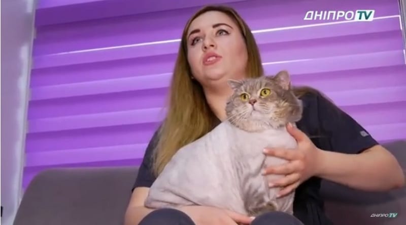 Поглаживание кошки в течение 20 минут помогает снять стресс - Бодибилдинг форум AnabolicShops