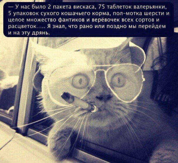 Курилка- разговоры на любые темы - Бодибилдинг форум AnabolicShops