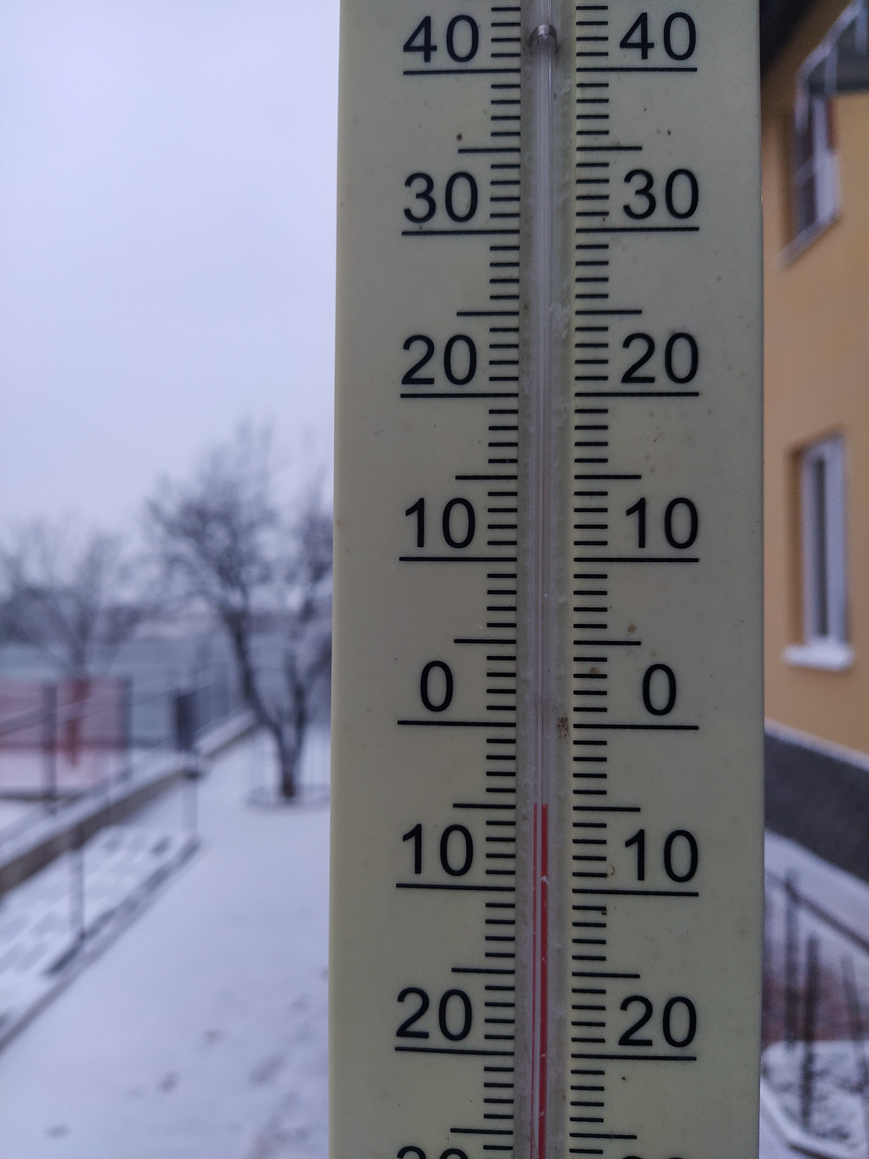 Ох уж этот карантин! - Бодибилдинг форум AnabolicShops