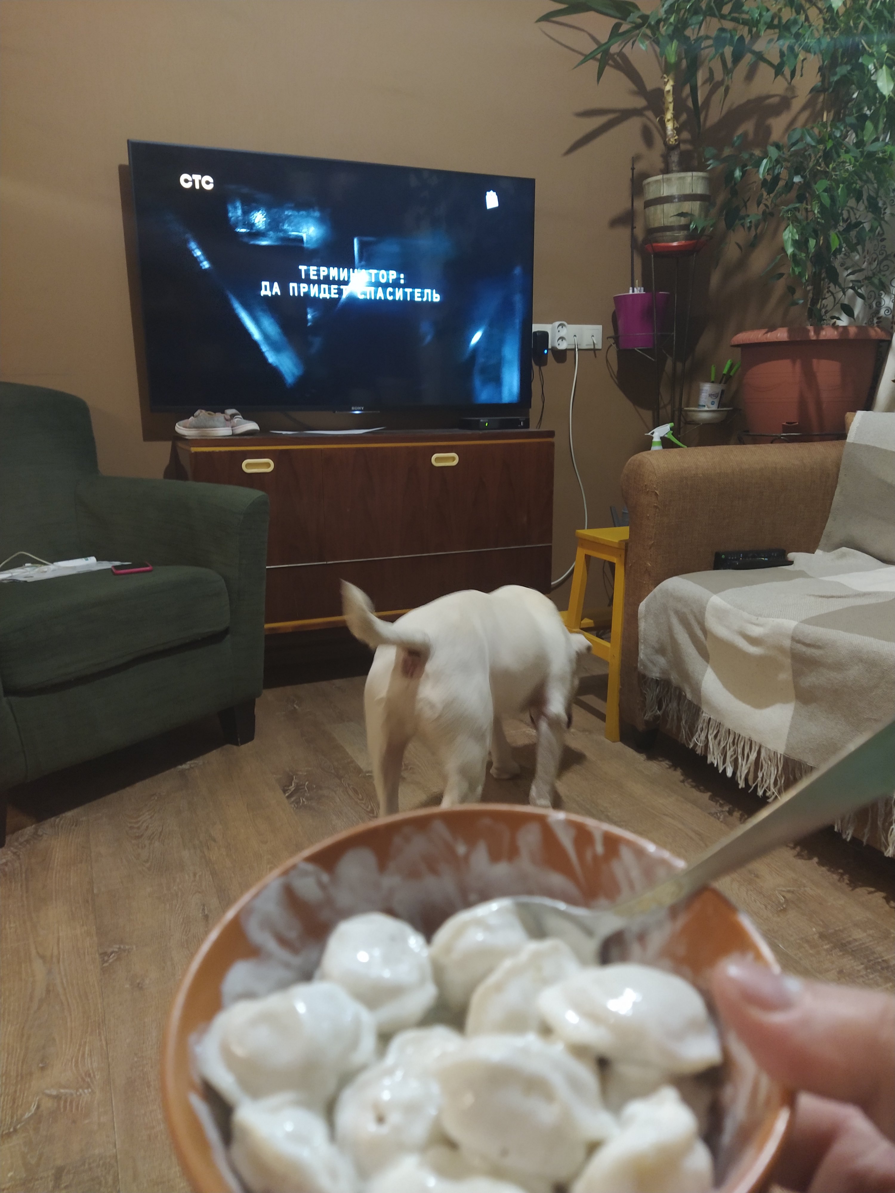 Ох уж этот карантин! - Бодибилдинг форум AnabolicShops